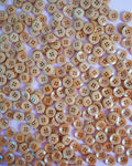 Caramel 1/2" Corozo Nut Buttons: Set of 8
